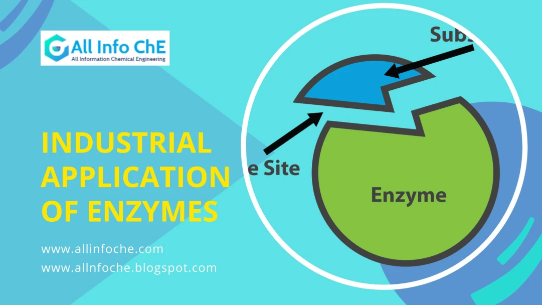 Industrial-application-of-enzymes