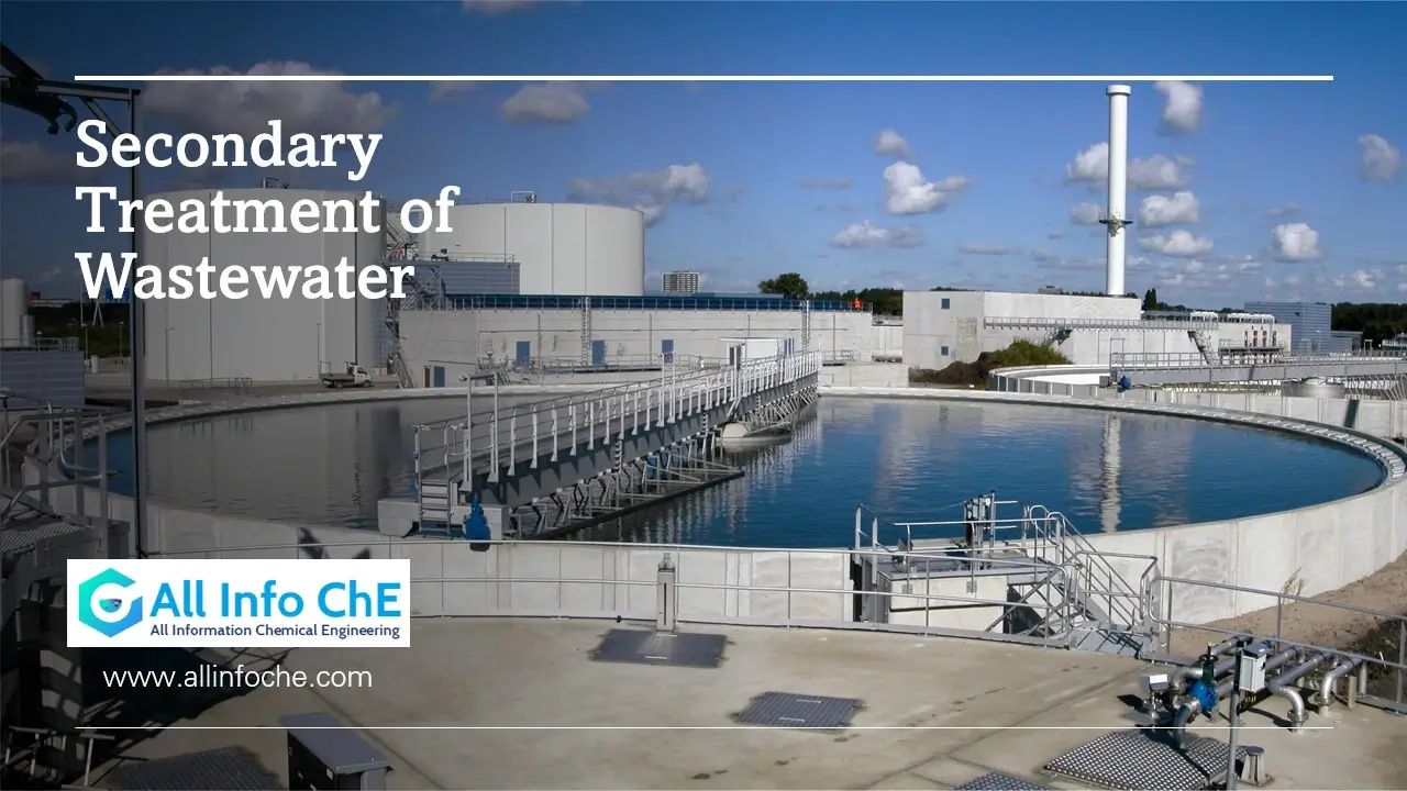 An aeration tank with microorganisms breaking down organic matter in wastewater.